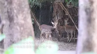 lol视频-包含	?38滩?焩25崽(h	觕膦m紞的词条